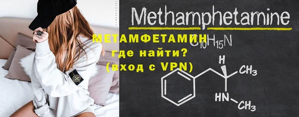 прущие грибы Инта
