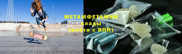 прущие грибы Инта