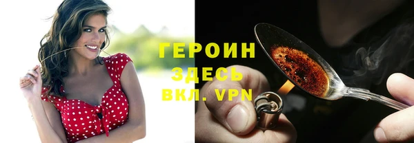 прущие грибы Инта