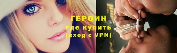 прущие грибы Инта