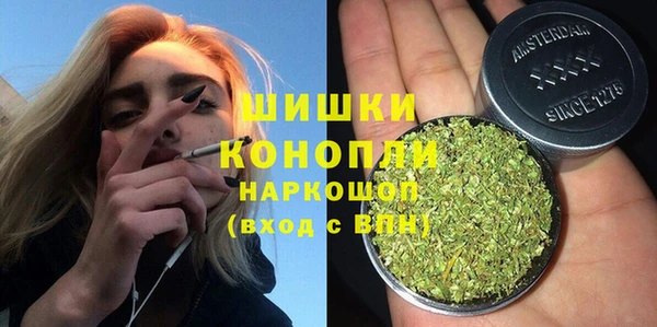 прущие грибы Инта