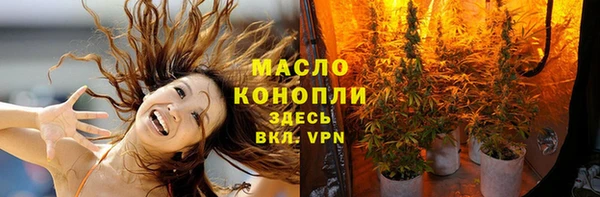 прущие грибы Инта